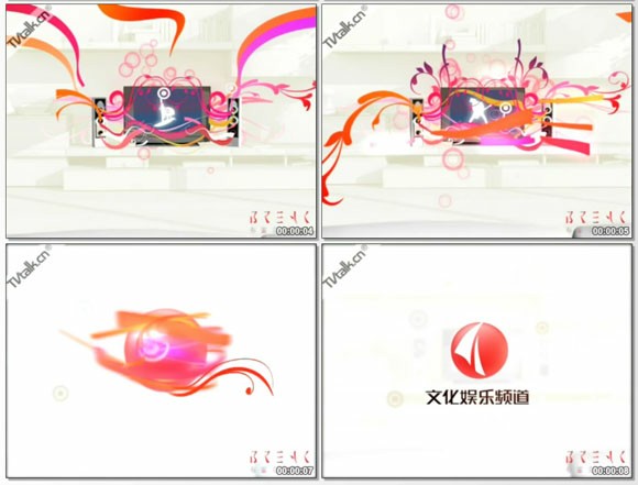 2009hzwh_id_ds.jpg